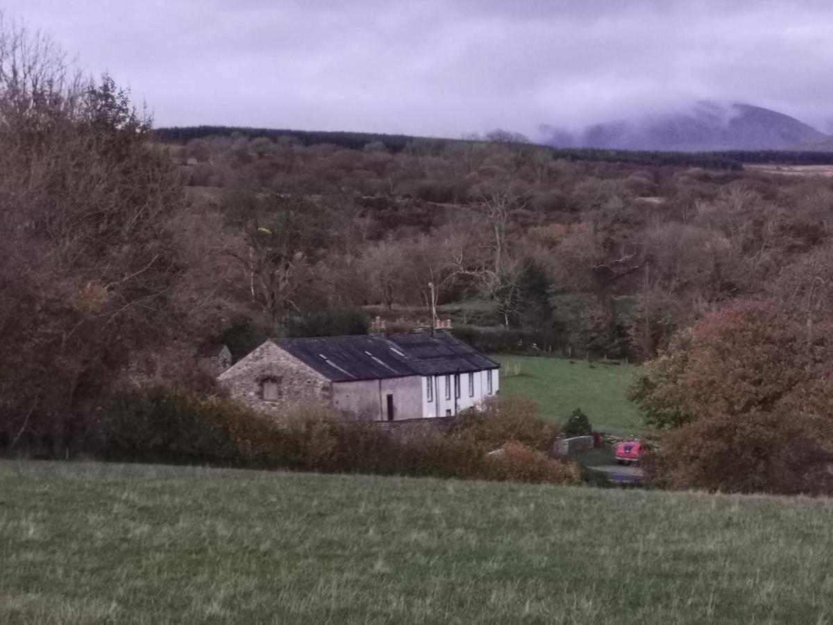 Rainors Farm Cottage 高斯福斯 外观 照片